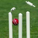 Oline Cricket Id Provider ayanshi Profile Picture