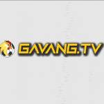 Gavang tv gavangtvv Profile Picture