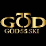 God55 god55ski Profile Picture