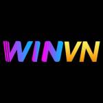 Winvn profile picture