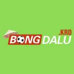 BongDa Lu profile picture