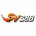 SV 388 Profile Picture