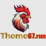 THOMO67 Profile Picture