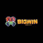 BigWin Online Casino bigwin69comph1 Profile Picture