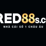 mới nhất - Đăng nhập Red88 Red88- Link vào Red88 Profile Picture