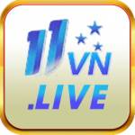 11vn live Profile Picture